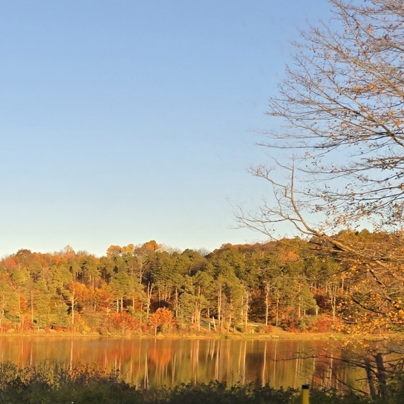 Meet your Posher, Kevin - Picture 3 of 3